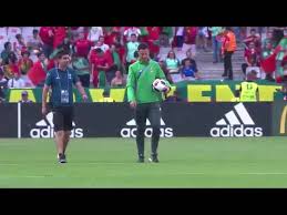It was, perhaps, the final indignity for one of the world's greatest footballers, adding insult, on several levels, to sore knee. Moths On The Field Euro 2016 Final Youtube