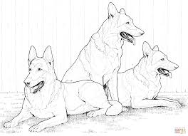 Getcolorings.com has more than 600 thousand printable coloring pages on sixteen thousand topics including animals, flowers, cartoons, cars, nature and many many more. German Shepherd Dog Coloring Pages Coloring Home