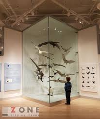 Zone Display Case Nature Museum Museum Display Cases Museum Interior