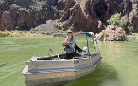 Image result for Dark Forest Green 1986 Fleet