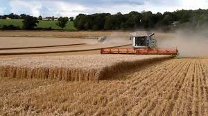 The objective is the harvest of the crop; Biggest Combine Harvesters In The World Youtube