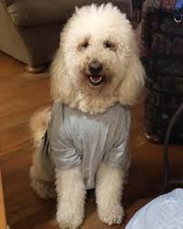 Profile for Karen Gordon, D.M.D.