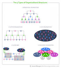 the complete guide to the 5 types of organizational