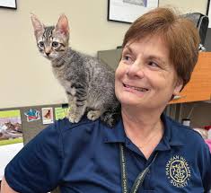 Hawaiian Humane Society FY2024 Annual Report by Hawaiian Humane Society