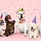 Pet Lovers Extravaganza event in Northfield, NH