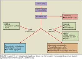 Nsaid Mech Nsaids Nursing Mnemonics Pharmacy School Study