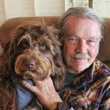 What are these small cacti in my yard?