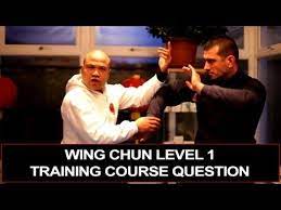 Wing Chun Level 1 Course Energy Drills Module 2 Youtube Wing Chun Self Defense Moves Kung Fu Techniques