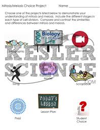 Mitosis And Meiosis 5e Lesson Plan