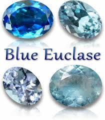 Image result for Euclasta