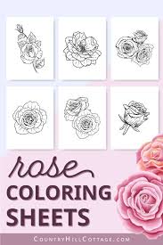 Are you looking for some rose coloring? Free Printable Rose Coloring Pages 10 Realistic Designs For Adults