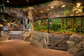 174 likes · 2 talking about this. Neuer Kolle Zoo In Munchen Mehr Furs Tier Am Westkreuz