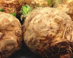 The climatic needs of andean root vegetables. Wonderful Recipes For The Weird Veggies In Your Csa Box