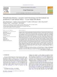 Welcome to the wild west! Pdf Rhamphicarpa Fistulosa A Parasitic Weed Threatening Rain Fed Lowland Rice Production In Sub Saharan Africa A Case Study From Benin Jonne Rodenburg Academia Edu