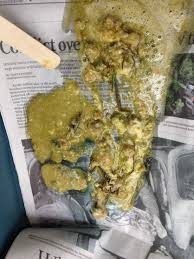 The reasons why it creates that excess bile. Dog Vomit Yellow With Food Www Macj Com Br