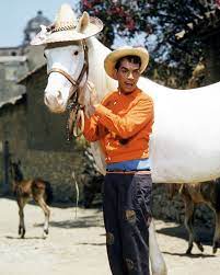 Cantinflashow y amigo and friends titulos alrnativos: Cantinflas Cantinflas Movie Stars Star Pictures