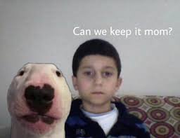 Can We Keep Walter Funny Memes Stupid Funny Memes Bad Memes