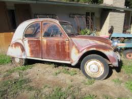 Image result for Noyer Americain 2011 Citroen