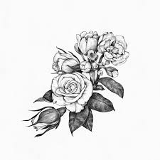 Flowers drawing tumblr buscar con google tatuajes de la flor de jazmin bocetos de flores dibujos de. Risultati Immagini Per Fiori Disegni A Matita Blumenzeichnung Blumen Zeichnung Kurse Rosenzeichnung
