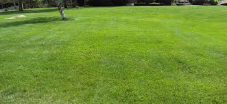 You've tried the rest, now hire the best! Ck Landscape And Hardscape Llc Landscaping Company