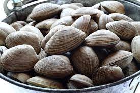 Pour the melted wax over the individual squares. How To Clean And Cook Fresh Clams Chowhound