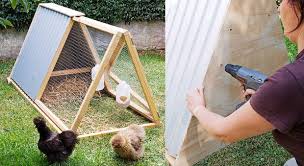 Amenager Son Jardin Plein D Idees Creatives Poulailler Fabriquer Un Poulailler Poulailler Facile