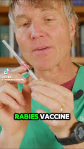 🎥 Andrew Jones, DVM, Pet Vaccines: Do They Really Need ALL of Them?,  YouTube: (@veterinarysecrets), #PetVaccines #DrJonesVet #HealthyPets  #PetCare