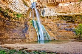 Check spelling or type a new query. Calf Creek Falls Lower Hiking Trail Utah Com