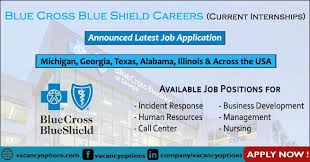 Bcbsa employees work in our offices in chicago and washington, d.c. Blue Cross Blue Shield Careers And Internships July 2021