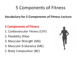 See full list on sportscienceinsider.com 5 Components Of Fitness Vocabulary For 5 Components Of Fitness Lecture 5 Components Of Fitness 1 Cardiovascular Fitness Cvf 2 Flexibility Flex Ppt Download