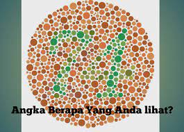 We did not find results for: Tips Jitu Lulus Tes Kesehatan Mata Bintara Tni Ad Terbaru Infoopas Com