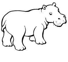 Baby Hippo Coloring Page Free Printable Coloring Pages
