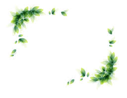 We did not find results for: Transparent Border Of Leaves Novocom Top