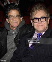 3,067 Bruce Hayes Stock Photos, High-Res Pictures, and Images