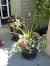 Front Porch Spring Porch Decor