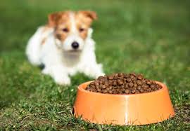Bring the pot to a boil and then reduce heat to low and simmer for 20 minutes. Low Fat Dog Food Amp Vet Advice For Overweight Dogs