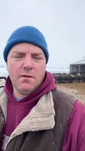 Bad Day to Own Cattle