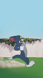 توم وجيري Tom And Jerry Tom And Jerry Wallpapers Cartoon Wallpaper Tom And Jerry Cartoon