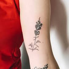 Dragon tattoo with flowers dragon tattoo pictures small dragon tattoos dragon tattoo for women dragon tattoo designs picture tattoos. Baby Snap Dragons By Kelli Kikcio Tattoogrid Net