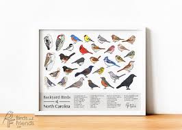 Birds Of North Georgia Pictures North Carolina Printable Backyard Birds Of North Carolina Etsy Backyard Birds Birds Of Georgia Bird Art Print