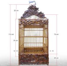 Seiring berjalannya waktu dan campur tangan manusia yang super kreatif, lahirlah jenis burung lovebird baru dengan beragam variasi warna mulai dari gelap sampai cerah. Cara Perawatan Sangkar Burung Yang Baik Disertai Gambar