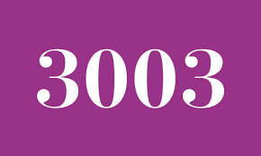 Angel Number 3003