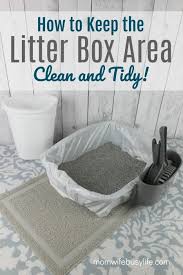 How To Keep The Cat Litter Area Clean And Tidy Mom Wife Busy Life Cat Litter Smell Cleaning Kitty Litter Cat Litter Tray