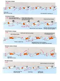 Hahaha The Lack Of Detail Is Hilarious Butterfly Is Not Even Close To That Easy And When The Heck Will You Ev Swimming Strokes Swimming Workout Swimming Tips