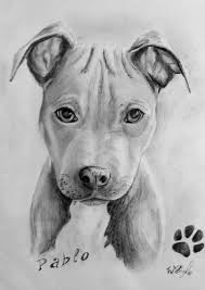#softpastel #petportrait #tutorialin diesem kurzen video zeige ich euch wie ihr einen verschwommenen hintergrund in softpastell auf velour malen könnt. Gehe Jetzt Auf Https Malmeinlieblingsbild De Und Erfahre Mehr Portrait Zeichnen Portrait Malen Lassen Bilde Hund Malen Portrait Zeichnen Bilder Malen Lassen