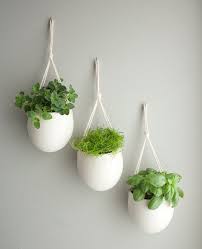 Epingle Sur Gardening