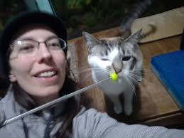 Some cats are competing with dogs regarding training........😀