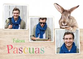 Feliz pascua o felices pascuas para felicitar la resurrección del señor? Felices Pascuas Felices Pascuas Enviar Autenticas Postales En Linea