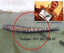 Cara budidaya ikan toman bioflok agar cepat besar. Geger Ikan Toman Misterius Bertuliskan Jogja Dan Diy 02 Hb Ix Saat Pelantikan Gubernur Jogjakarta