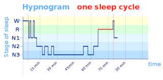 Nectarsleep.com has been visited by 10k+ users in the past month Sleep Cycle Calculator What Time To Go To Bed